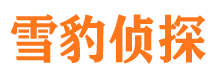 宜川市婚姻出轨调查